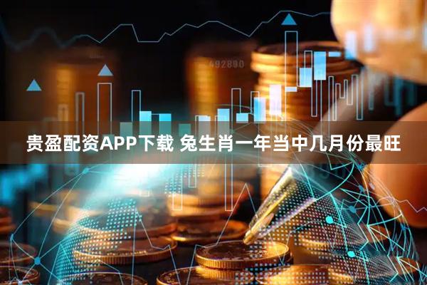贵盈配资APP下载 兔生肖一年当中几月份最旺