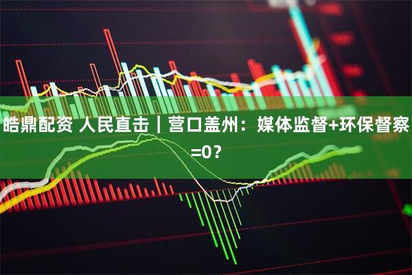 皓鼎配资 人民直击|营口盖州:媒体监督+环保督察=0?