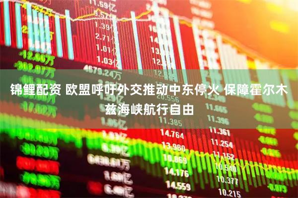 锦鲤配资 欧盟呼吁外交推动中东停火 保障霍尔木兹海峡航行自由